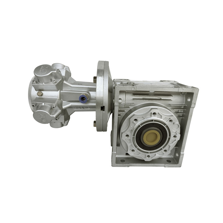 With Worm Reduction Gear